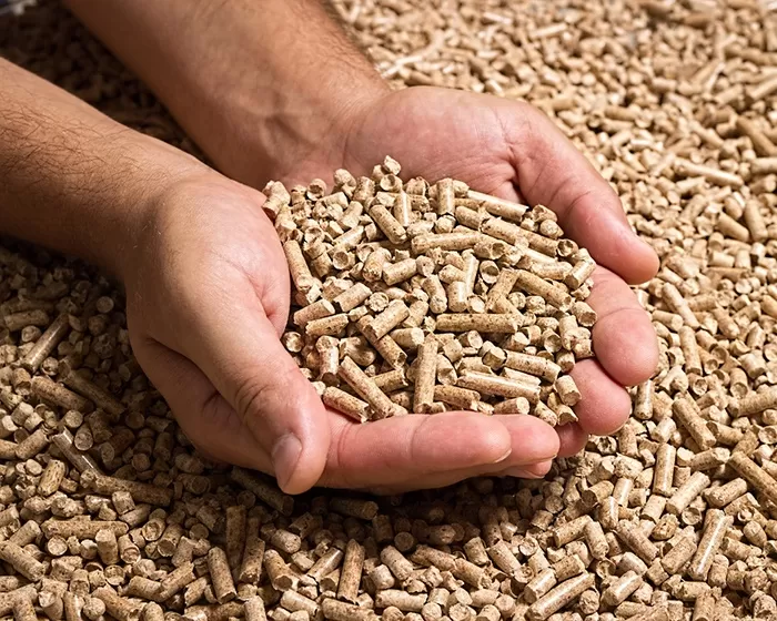 Biomass Fuel